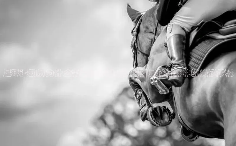 人人体育欧洲杯直播小红书