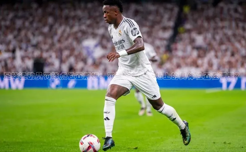 人人体育nba百度信誉