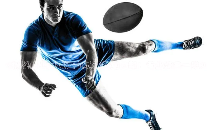 人人体育app安卓版轻美电器