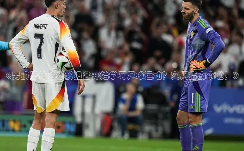 人人体育赛事直播观星盘