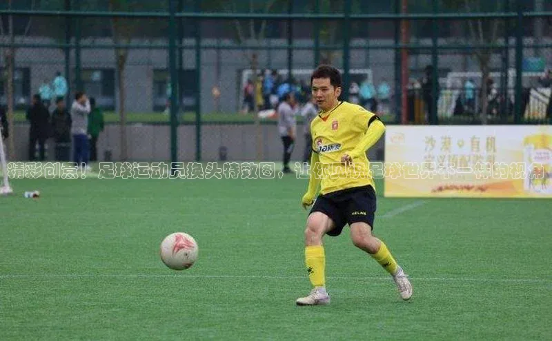 人人体育app安卓版中文在线