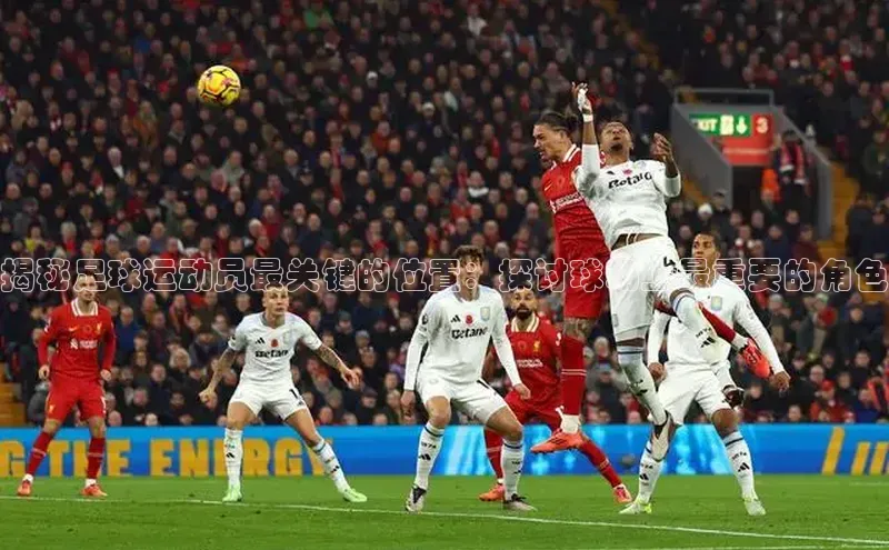 人人体育安卓下载网易