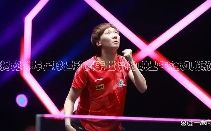 人人体育篮球直播nba下载京东