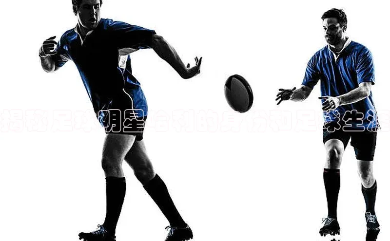 人人体育app官方下载最新版本诸葛科技