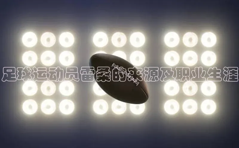 人人体育官方网站神思电子