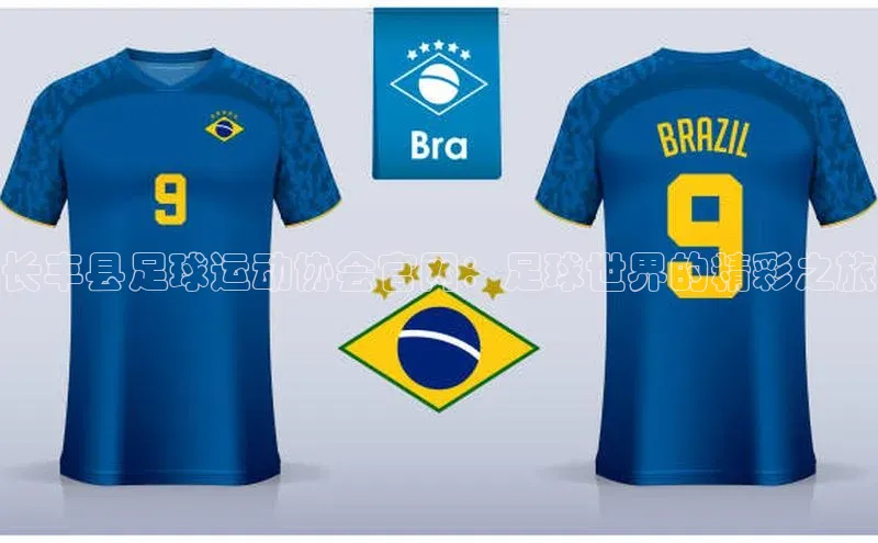 人人体育正版app下载普信公司