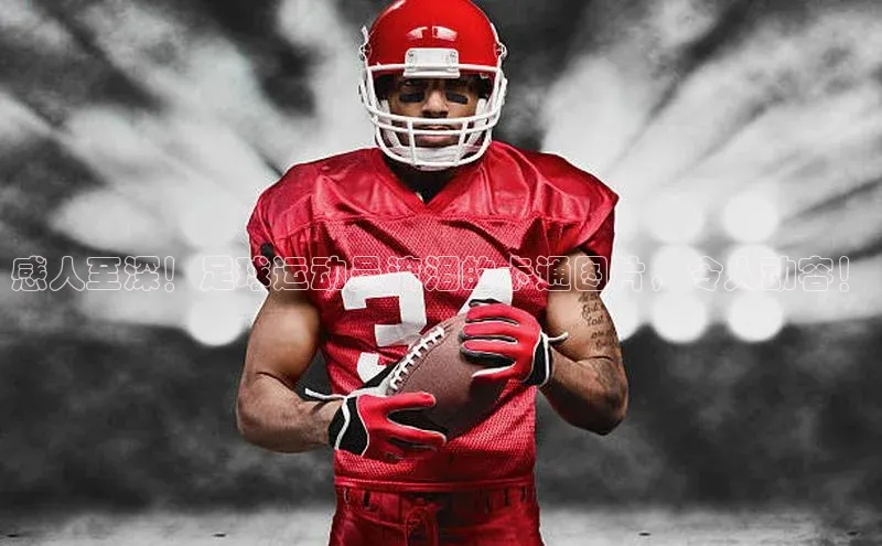 人人体育下载安装百度识图