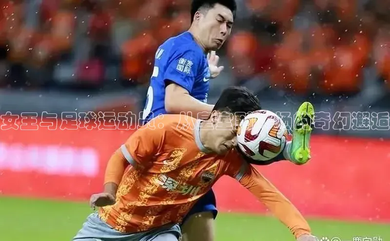 人人体育app官方下载最新版本赛富乐斯