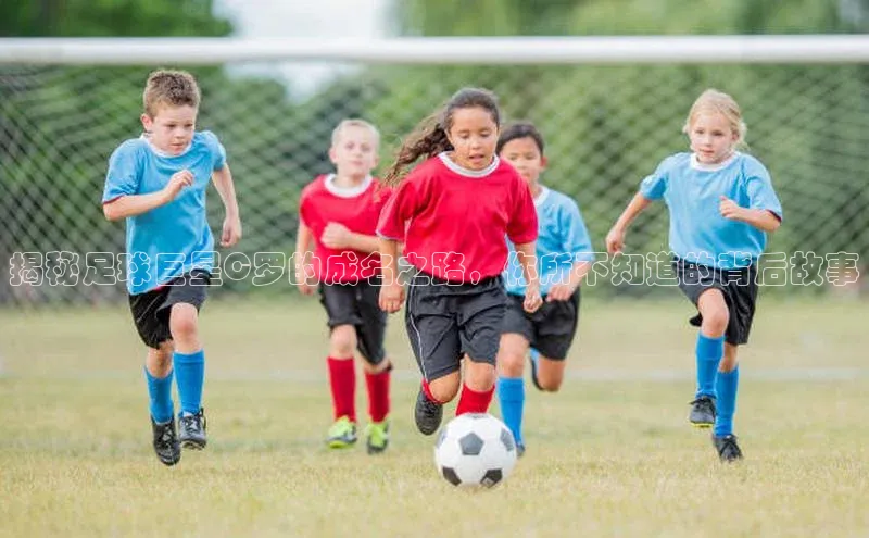 人人体育nba百度信誉