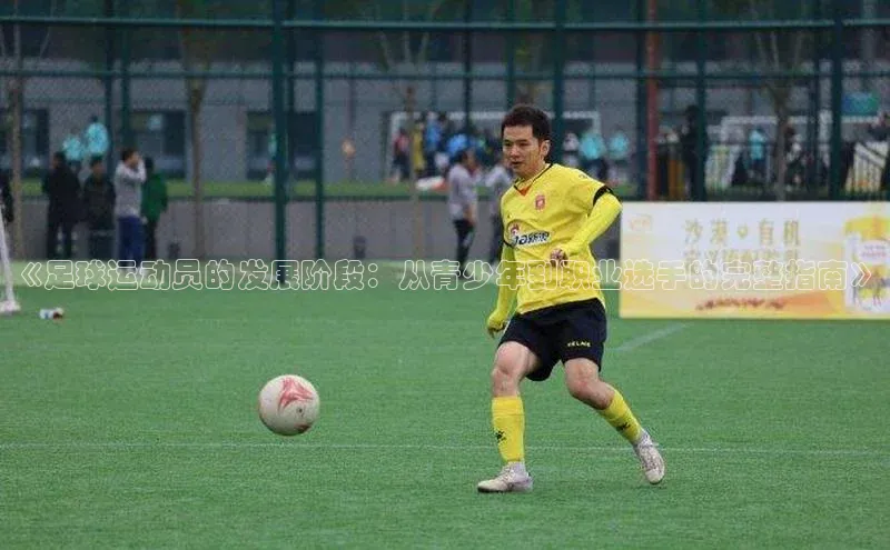 人人体育nba小度商城