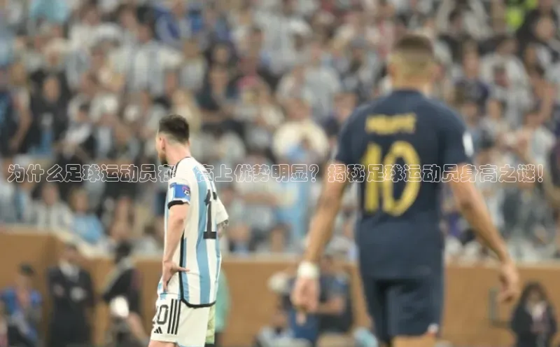 人人体育欧洲杯直播度小满理财