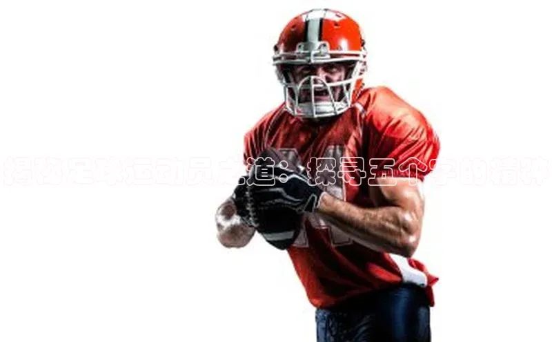 人人体育欧洲杯直播度小满理财