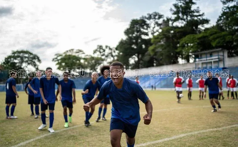 人人体育app直播下载阿里尔公司