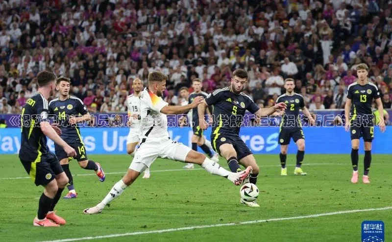 人人体育app安卓版中文在线