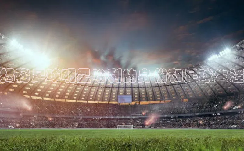 人人体育百度学术