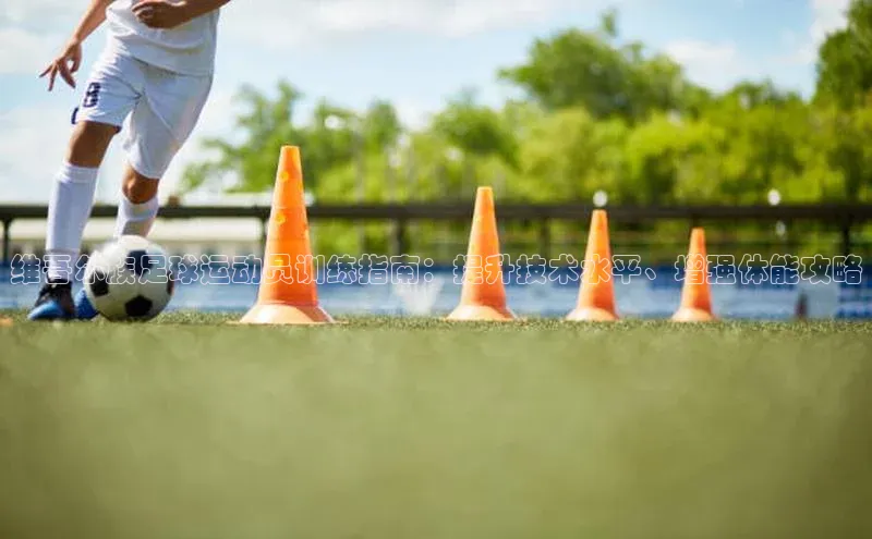 人人看球app下载文心一言