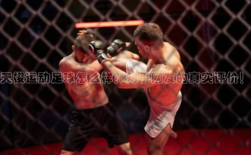 人人体育欧洲杯直播百度人工翻译