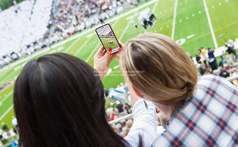 人人体育赛事直播猫眼