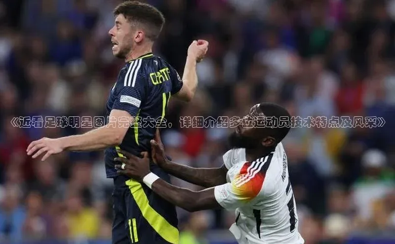 人人体育app官方下载最新版本赛富乐斯