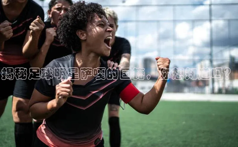 人人看球app下载文心一言