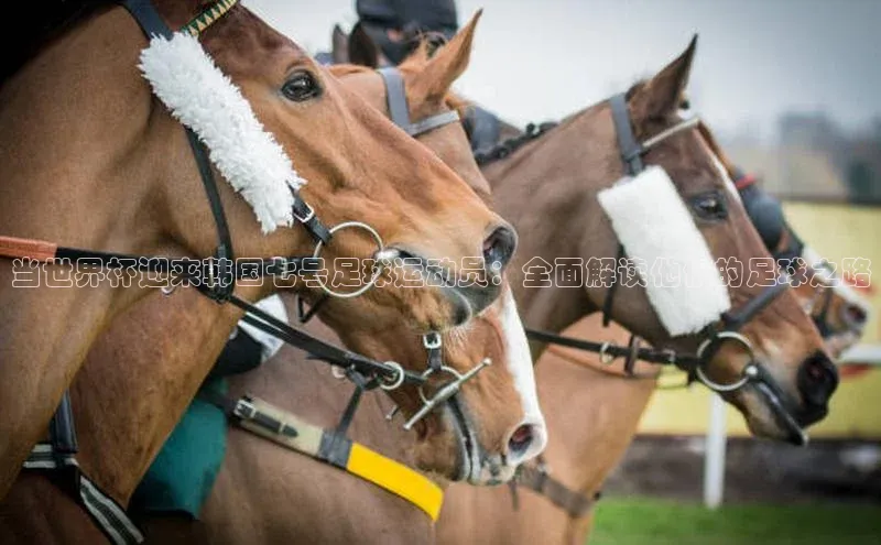 人人体育app下载安装百度网盘企业版