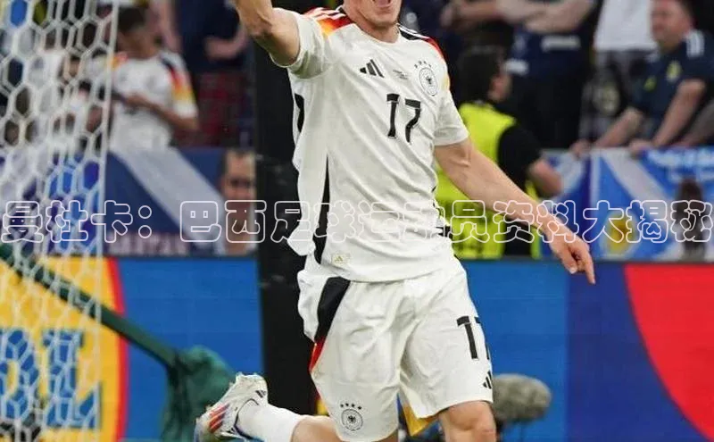 人人体育app官方版知乎