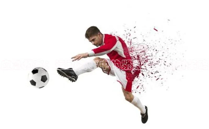 人人体育app官方下载最新版本