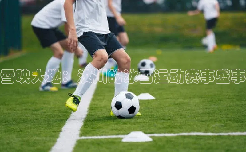 人人体育app官方版