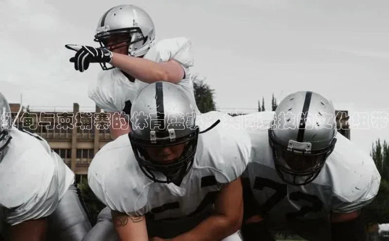 人人体育篮球直播nba下载