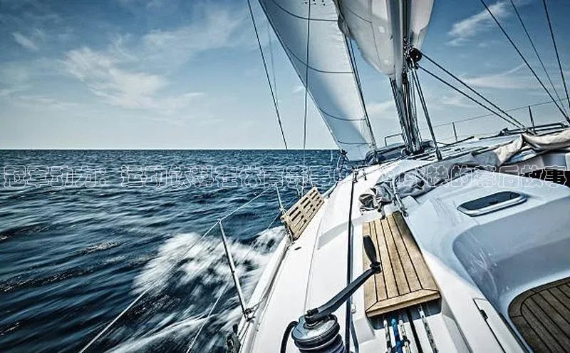 人人体育app官方版