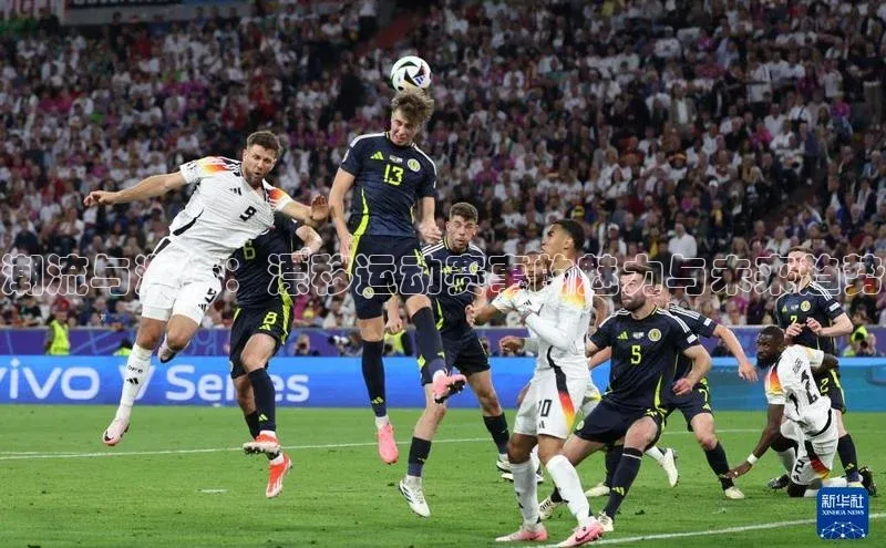 人人体育app直播下载