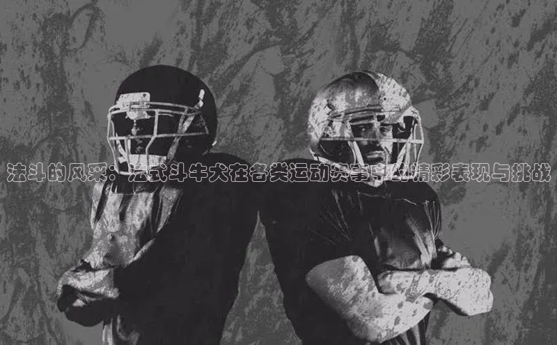 人人体育官方正版下载安装