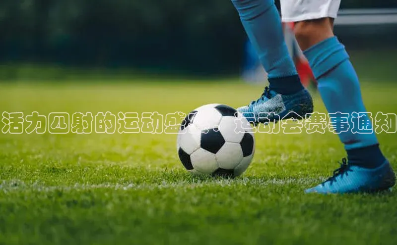 人人体育app下载安装