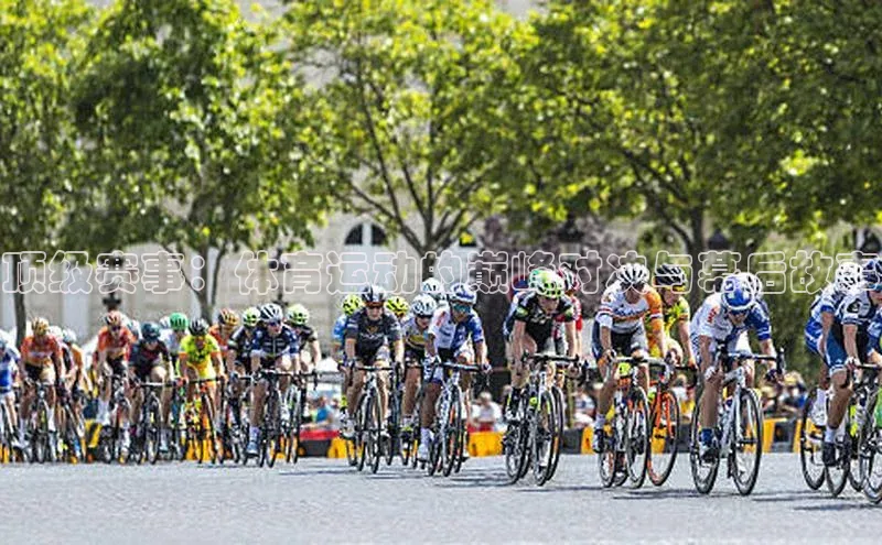 人人体育正版app下载