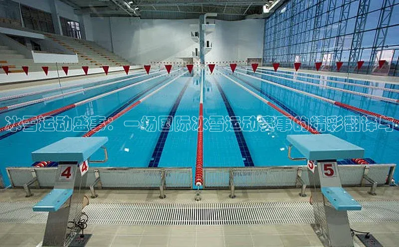 人人体育直播篮球